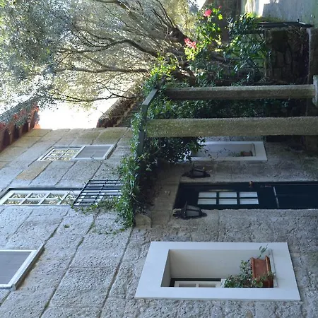 Villa Paco *